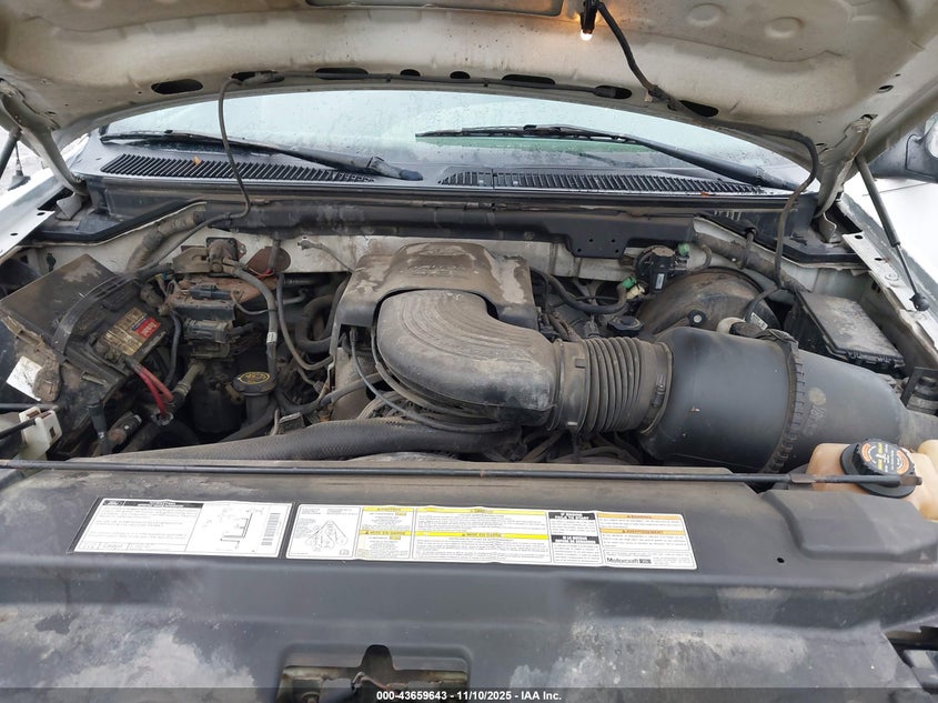 1999 Ford F-150 Lariat/Work Series/Xl/Xlt VIN: 1FTRF17W4XNC23466 Lot: 43659643