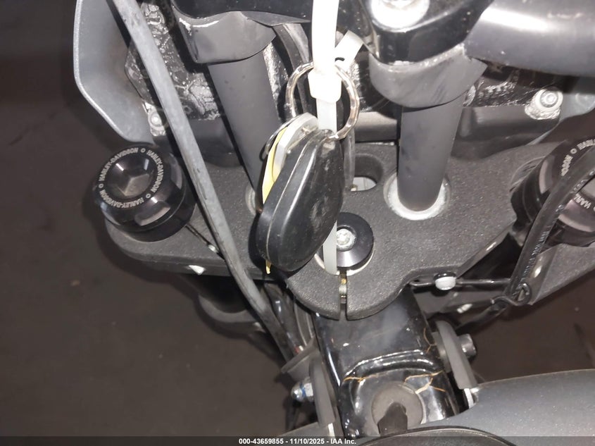 2020 Harley-Davidson Fxlrs VIN: 1HD1YWK13LB054843 Lot: 43659855