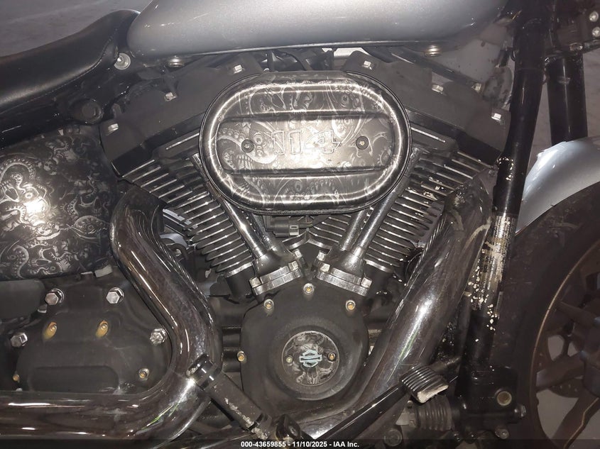 2020 Harley-Davidson Fxlrs VIN: 1HD1YWK13LB054843 Lot: 43659855