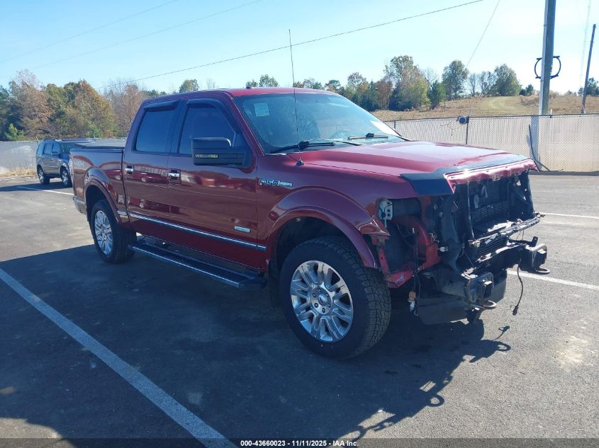 FORD F-150 PLATINUM