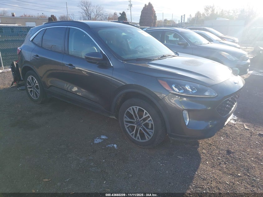 FORD ESCAPE SEL
