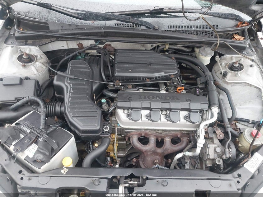 2004 Honda Civic Vp VIN: 2HGES16354H562583 Lot: 43660339