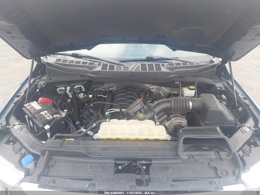 2021 Ford F-150 Xlt VIN: 1FTFW1E55MFB60428 Lot: 43660403