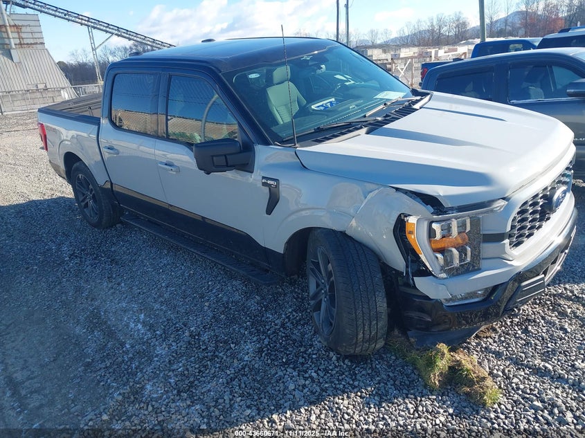 2023 FORD F-150 XLT - 1FTFW1E80PKF21019