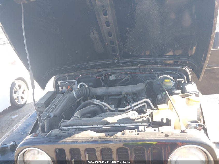 2002 Jeep Wrangler X VIN: 1J4FA39S62P720324 Lot: 43660848