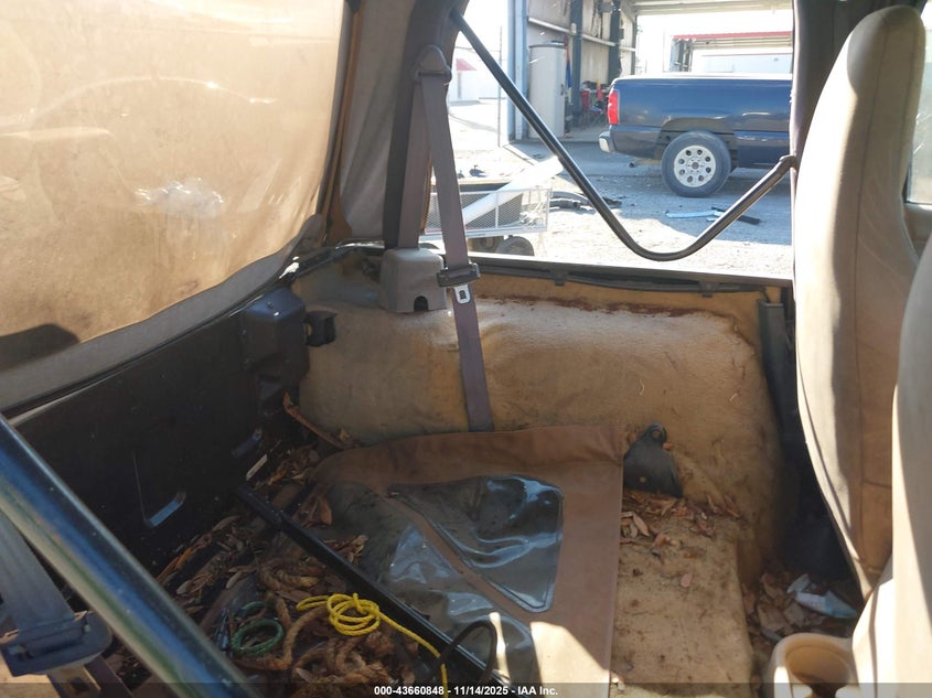 2002 Jeep Wrangler X VIN: 1J4FA39S62P720324 Lot: 43660848