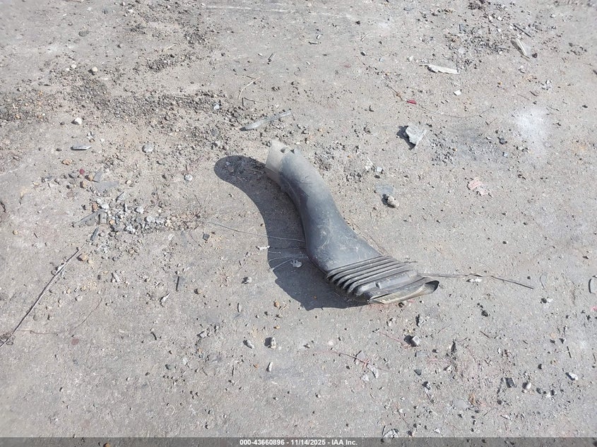 1998 Chevrolet Corvette VIN: 1G1YY32G0W5106783 Lot: 43660896