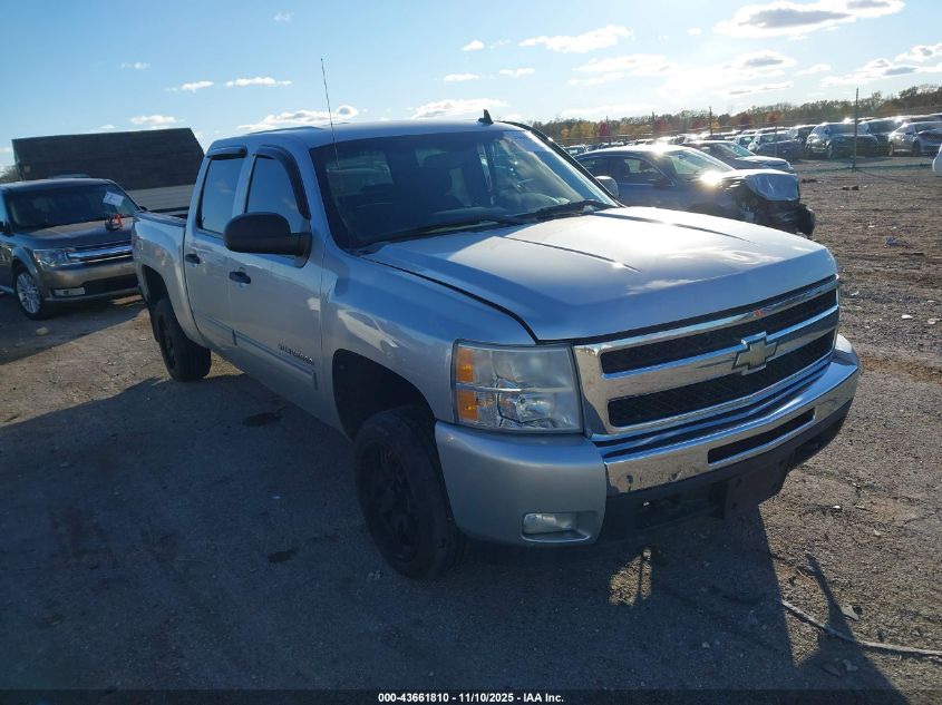 CHEVROLET SILVERADO 1500 LT