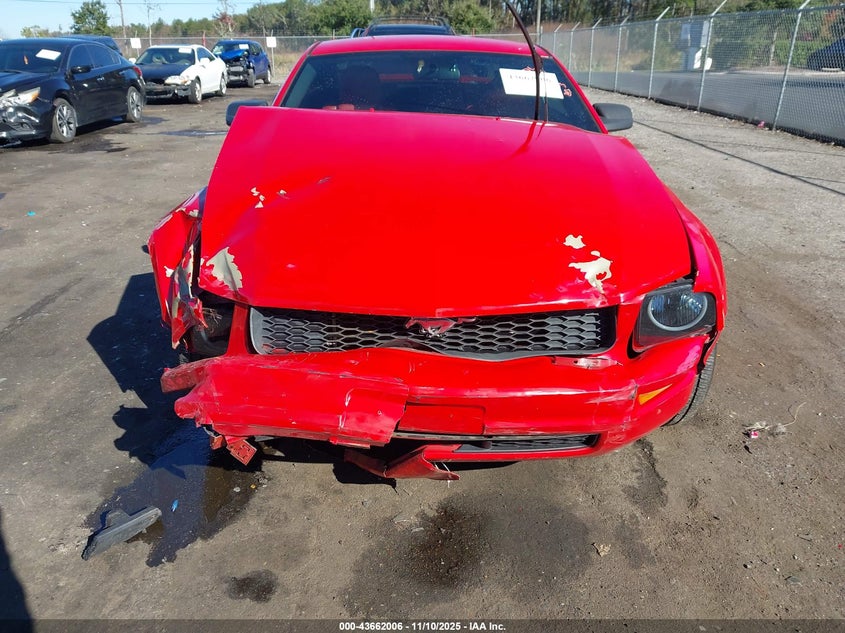 2006 Ford Mustang V6 VIN: 1ZVFT80N165250724 Lot: 43662006