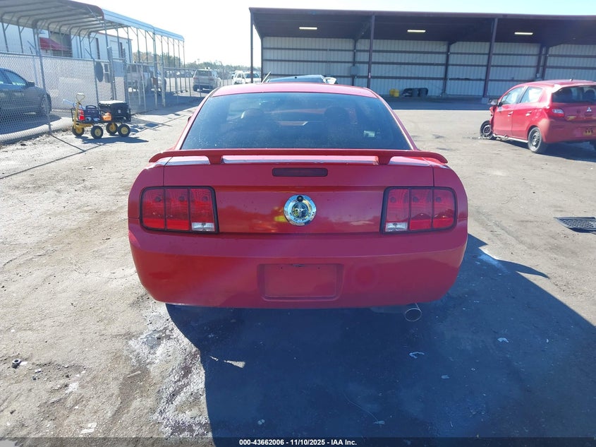 2006 Ford Mustang V6 VIN: 1ZVFT80N165250724 Lot: 43662006