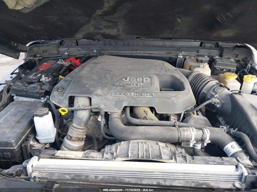 2021 Jeep Wrangler Unlimited Rubicon 4X4 VIN: 1C4JJXFM6MW538774 Lot: 43662300