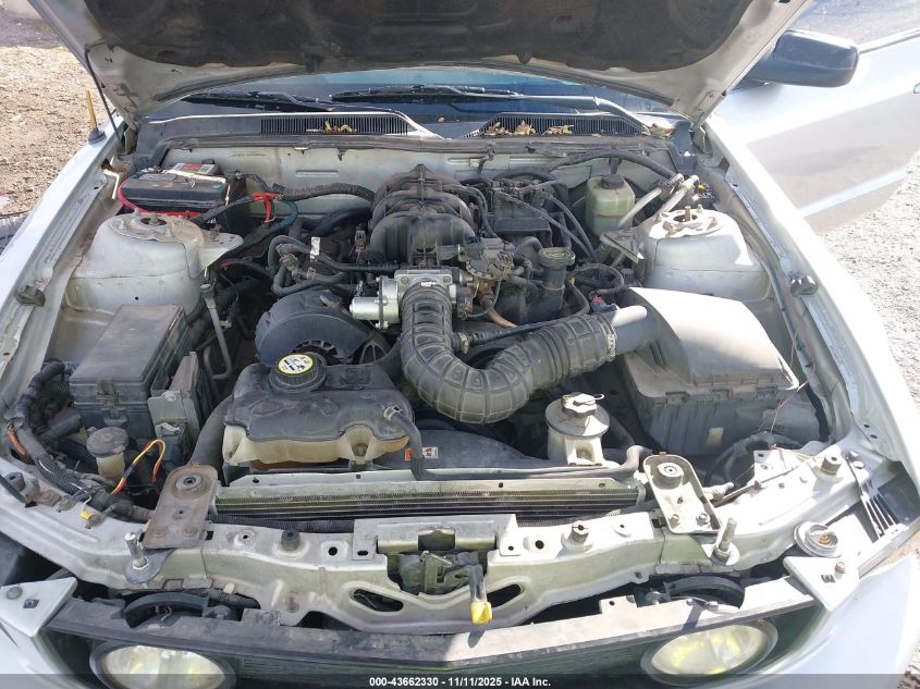 2005 Ford Mustang V6 Deluxe/V6 Premium VIN: 1ZVFT80N555100890 Lot: 43662330