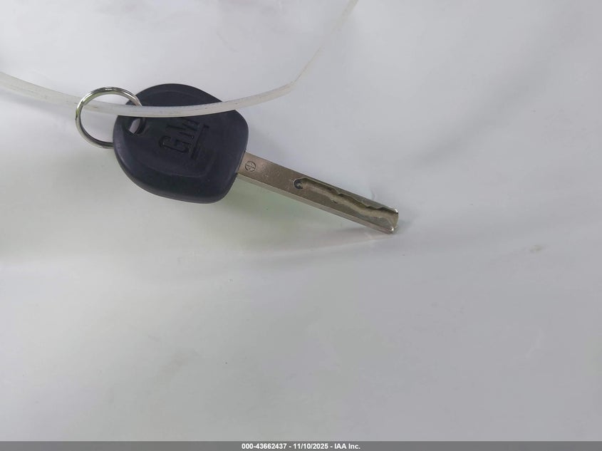 2020 Chevrolet Express Cargo Rwd 2500 Regular Wheelbase Wt VIN: 1GCWGAFG2L1202854 Lot: 43662437