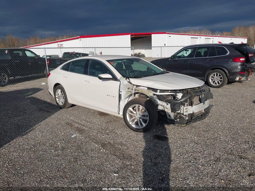 CHEVROLET MALIBU 1LT