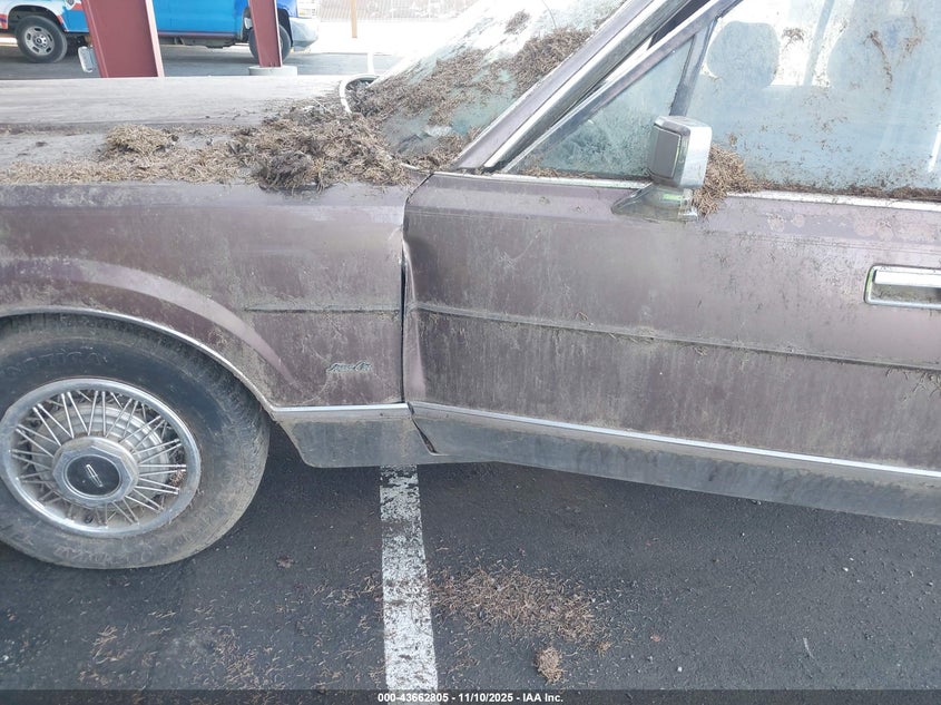 1987 Lincoln Town Car Signature VIN: 1LNBM82F1HY670517 Lot: 43662805