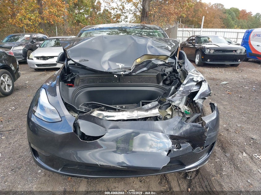 2025 Tesla Model Y Long Range Dual Motor All-Wheel Drive VIN: 7SAYGDEE8SF299948 Lot: 43662865