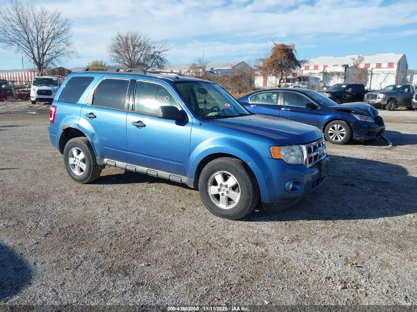 FORD ESCAPE XLT