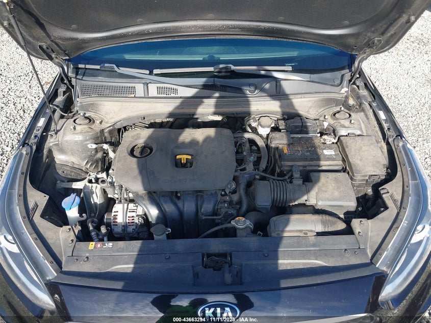 2019 Kia Forte Lxs VIN: 3KPF24AD1KE137827 Lot: 43663294