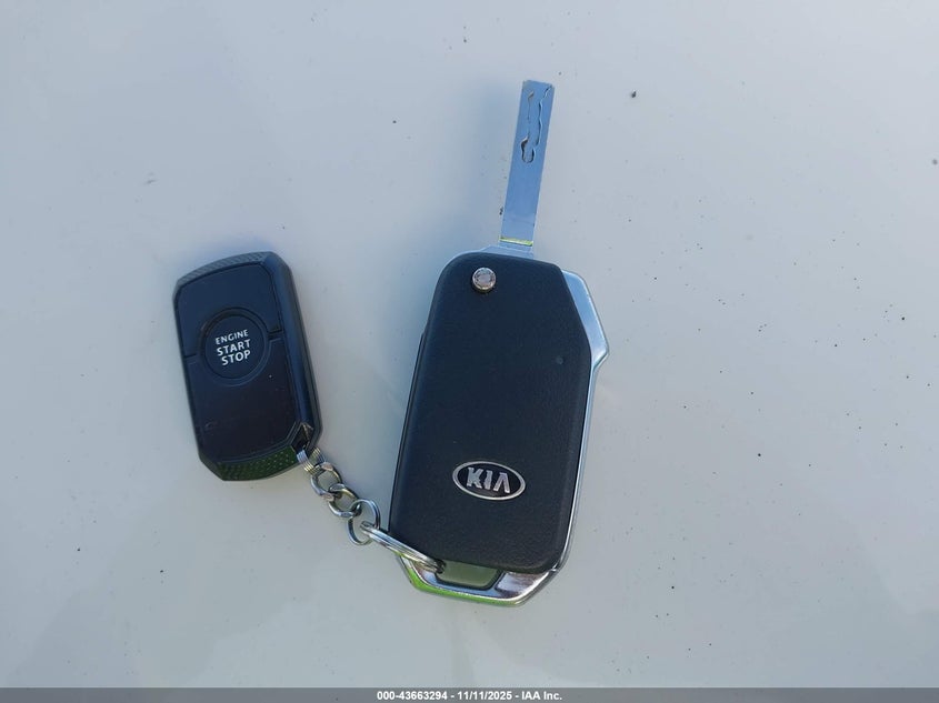 2019 Kia Forte Lxs VIN: 3KPF24AD1KE137827 Lot: 43663294