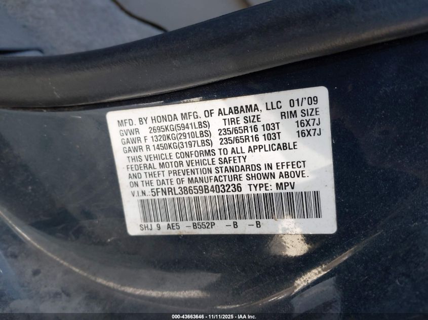 2009 Honda Odyssey Ex-L VIN: 5FNRL38659B403236 Lot: 43663646