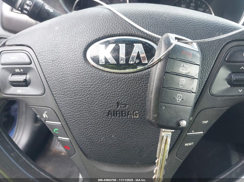 2017 Kia Forte Lx VIN: 3KPFK4A73HE049090 Lot: 43663780