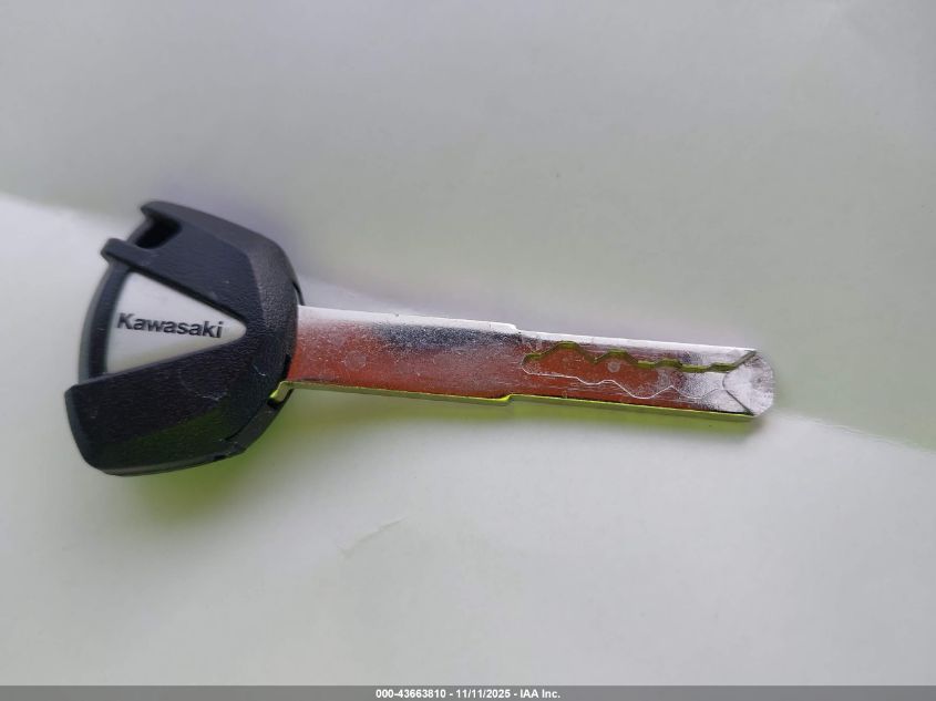 2025 Kawasaki Zx636 K VIN: JKBZXJJ18SA027062 Lot: 43663810