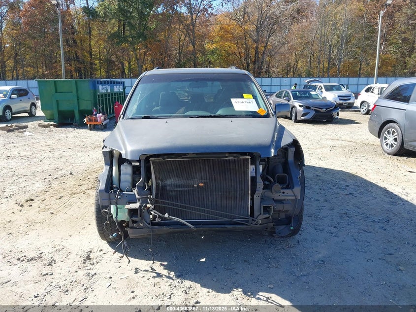 2007 Honda Pilot Ex VIN: 5FNYF28477B029544 Lot: 43663867