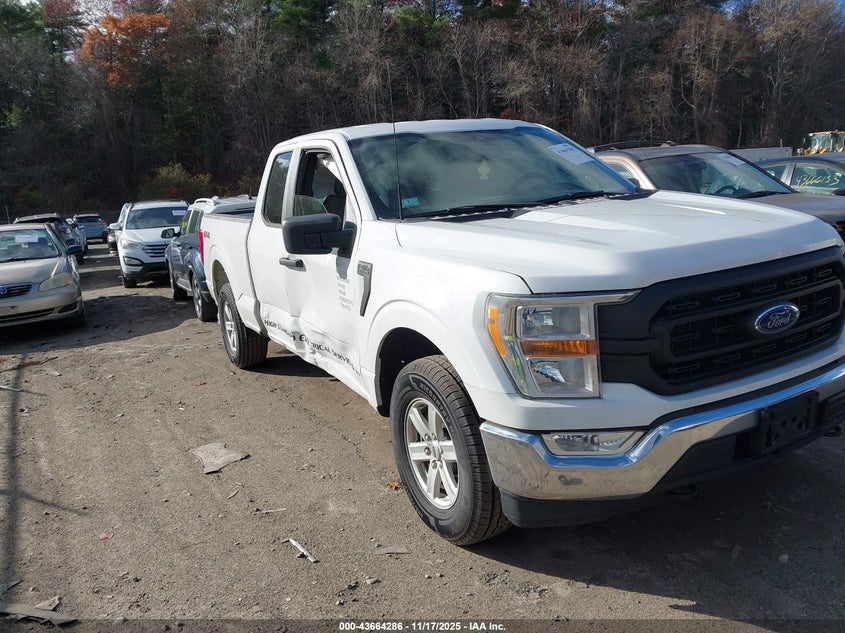 FORD F-150 XL