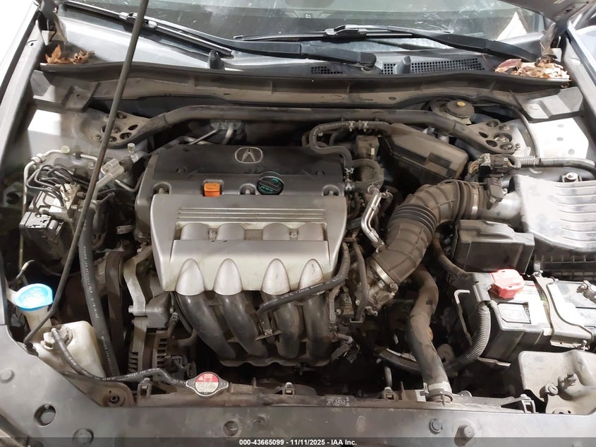 2009 Acura Tsx VIN: JH4CU26629C032578 Lot: 43665099