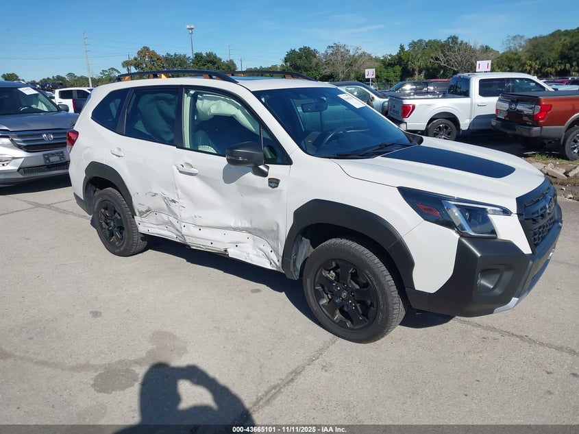 SUBARU FORESTER WILDERNESS