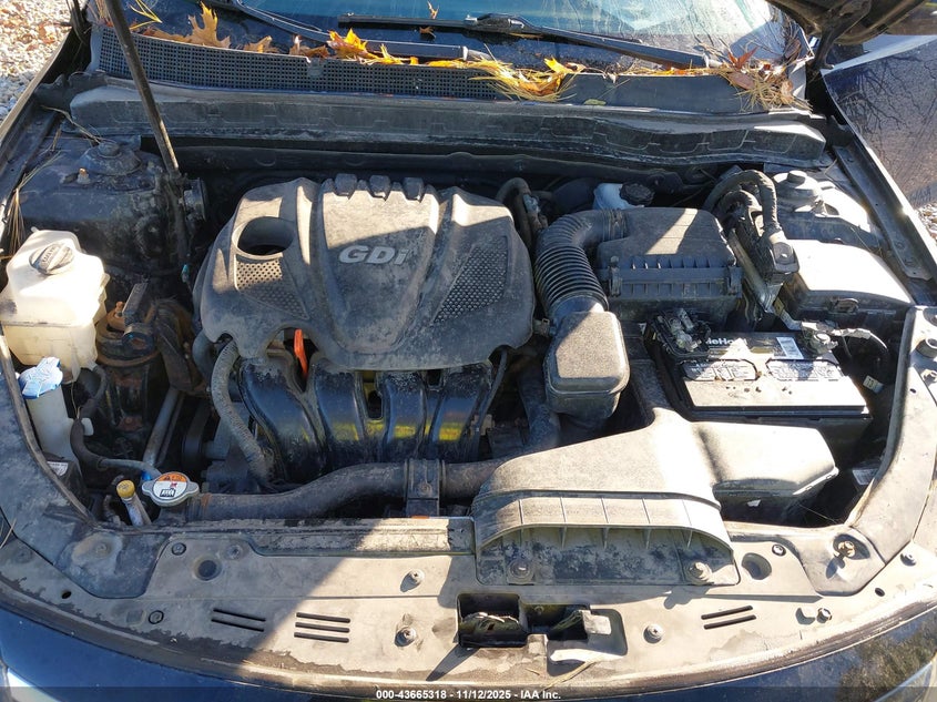 KNAGM4A7XB5166700 2011 KIA OPTIMA photo no. 10