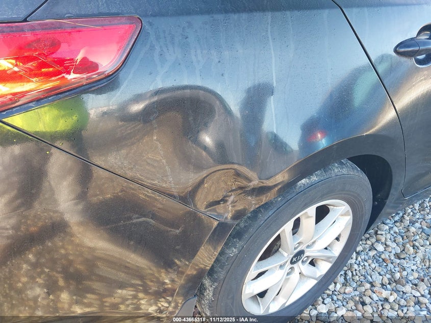 KNAGM4A7XB5166700 2011 KIA OPTIMA photo no. 6