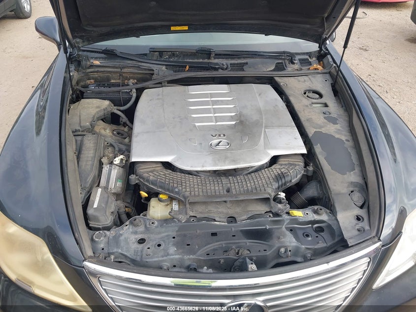 2007 Lexus Ls 460 VIN: JTHBL46F875040079 Lot: 43665626