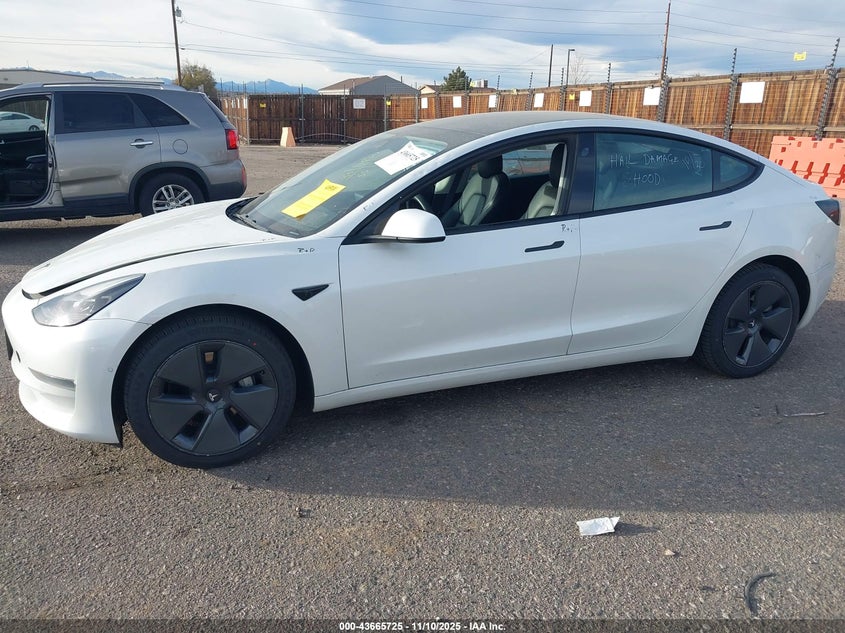 2022 Tesla Model 3 Long Range Dual Motor All-Wheel Drive VIN: 5YJ3E1EB0NF194746 Lot: 43665725