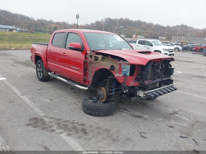 TOYOTA TACOMA TRD SPORT