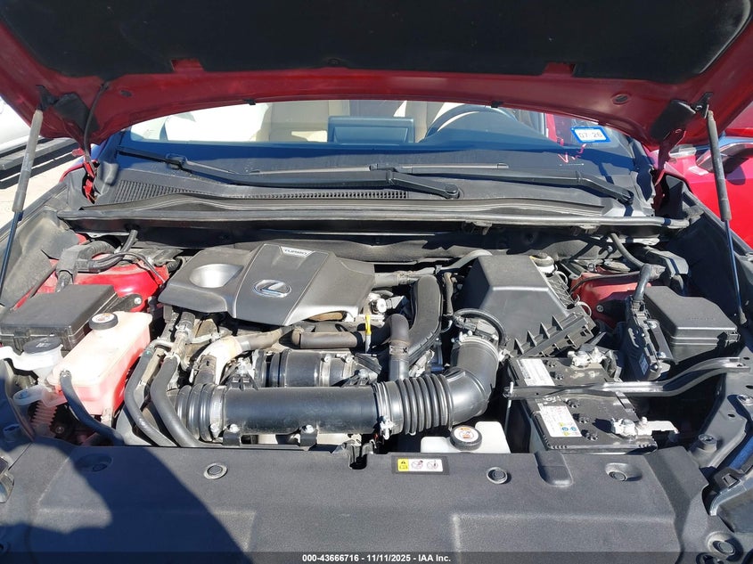 2020 LEXUS NX 300 JTJDARBZ0L5020297