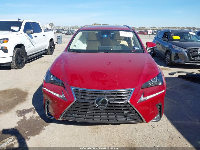 2020 LEXUS NX 300 JTJDARBZ0L5020297