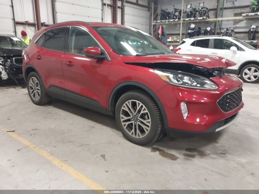 FORD ESCAPE SEL