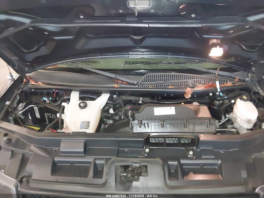 2019 Chevrolet Express 2500 Work Van VIN: 1GCWGAFP0K1144371 Lot: 43667524