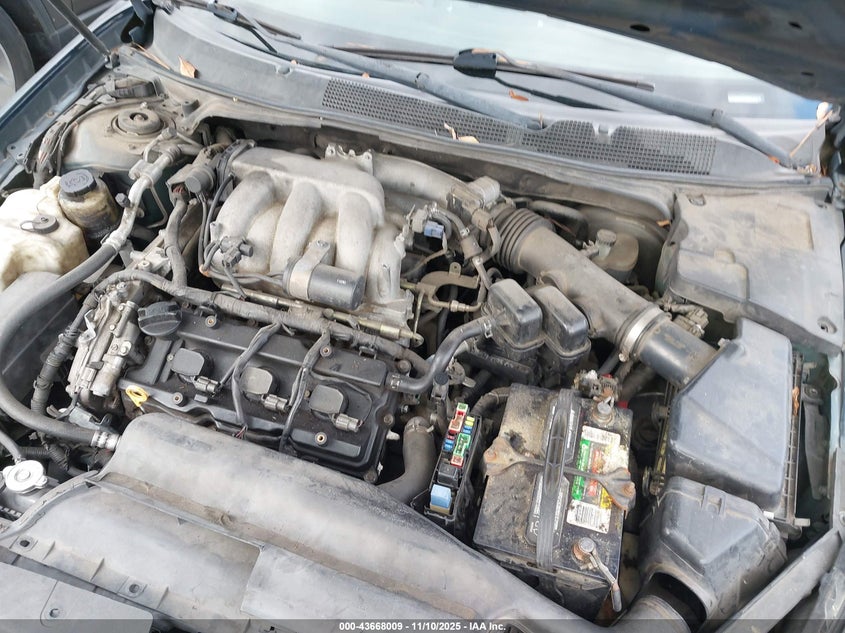 2007 Nissan Maxima 3.5 Se VIN: 1N4BA41EX7C802304 Lot: 43668009