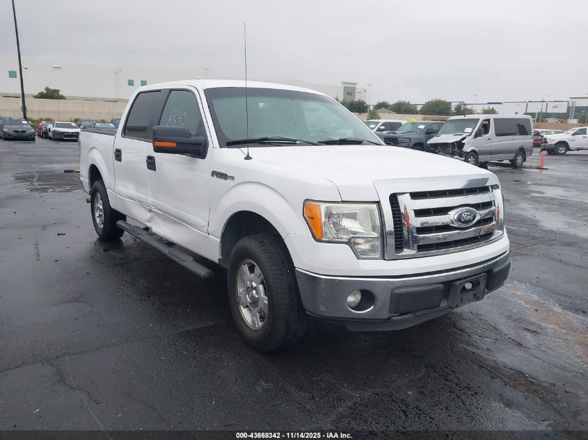 FORD F-150 XLT