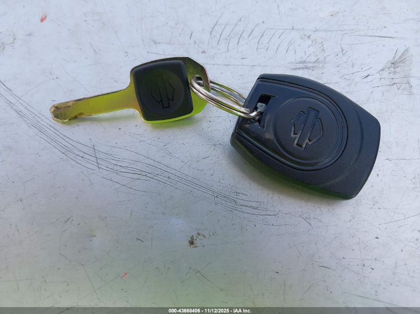 2023 Harley-Davidson Ra1250 S VIN: 1HD1ZES1XPB301918 Lot: 43668406