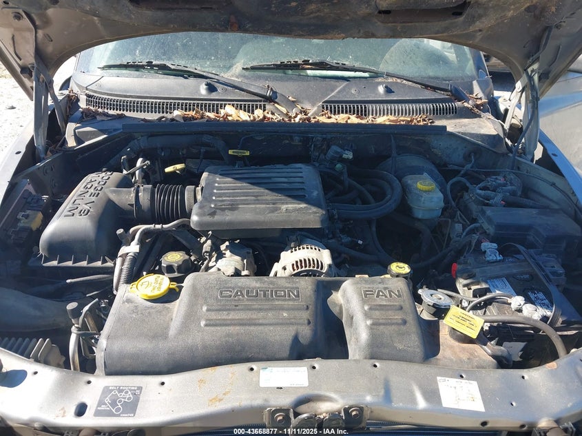 2000 Dodge Durango VIN: 1B4HS28N6YF221343 Lot: 43668877