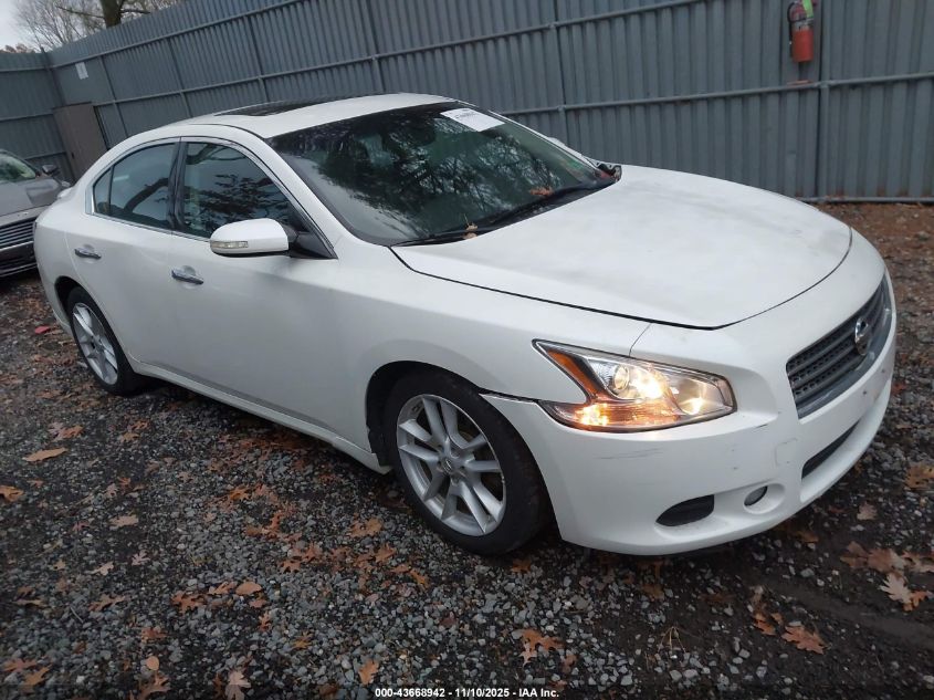 NISSAN MAXIMA 3.5 SV