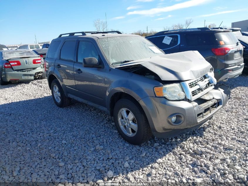FORD ESCAPE XLT