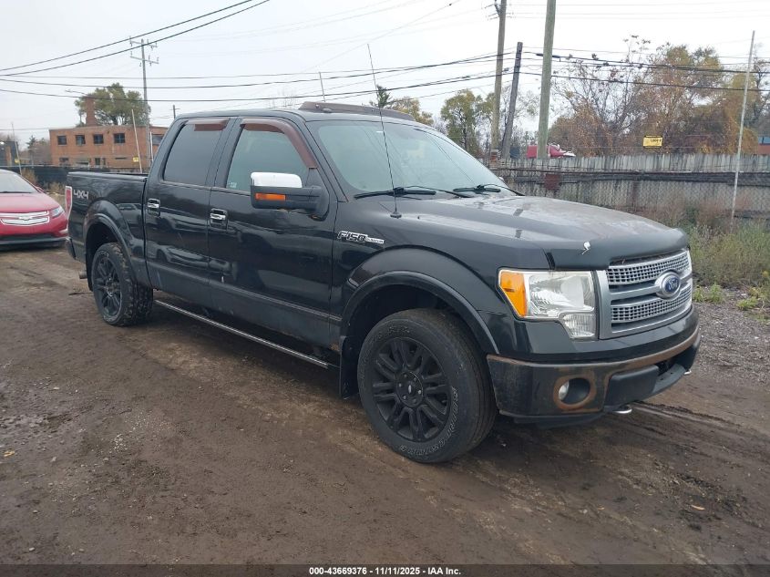 FORD F-150 PLATINUM