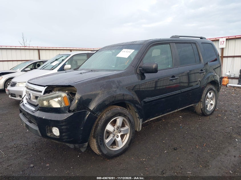 5FNYF4H52AB019998 2010 HONDA PILOT photo no. 2