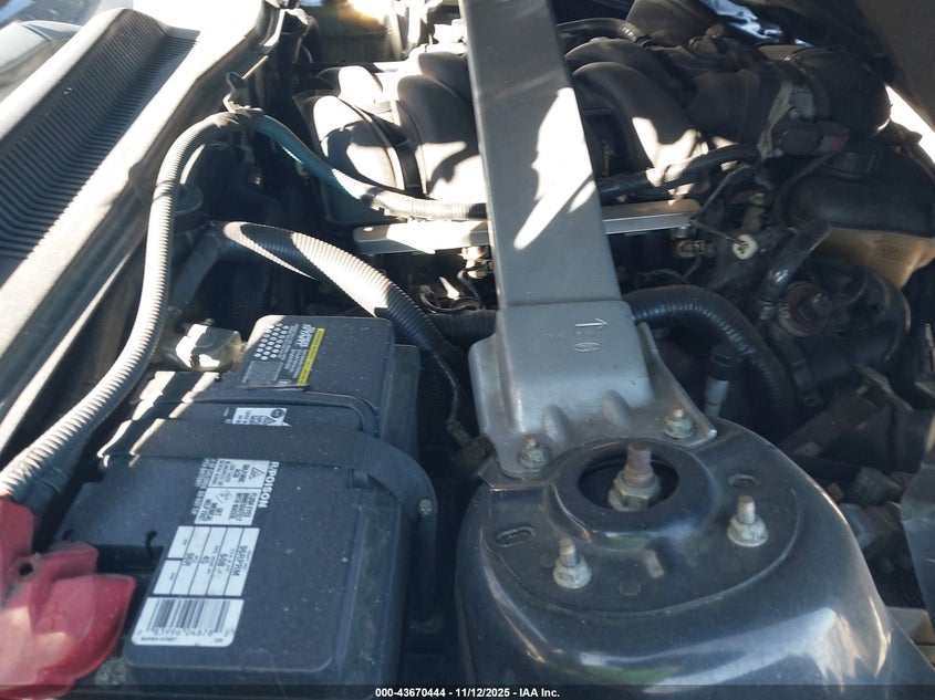 2008 Ford Mustang VIN: 1ZVHT82H785154518 Lot: 43670444