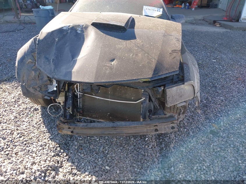 2008 Ford Mustang VIN: 1ZVHT82H785154518 Lot: 43670444