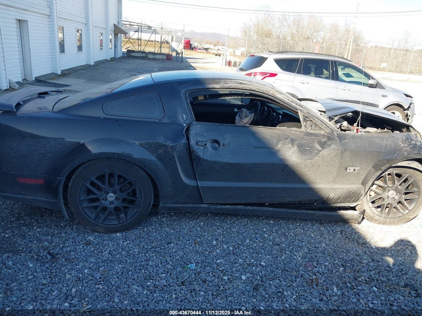 2008 Ford Mustang VIN: 1ZVHT82H785154518 Lot: 43670444